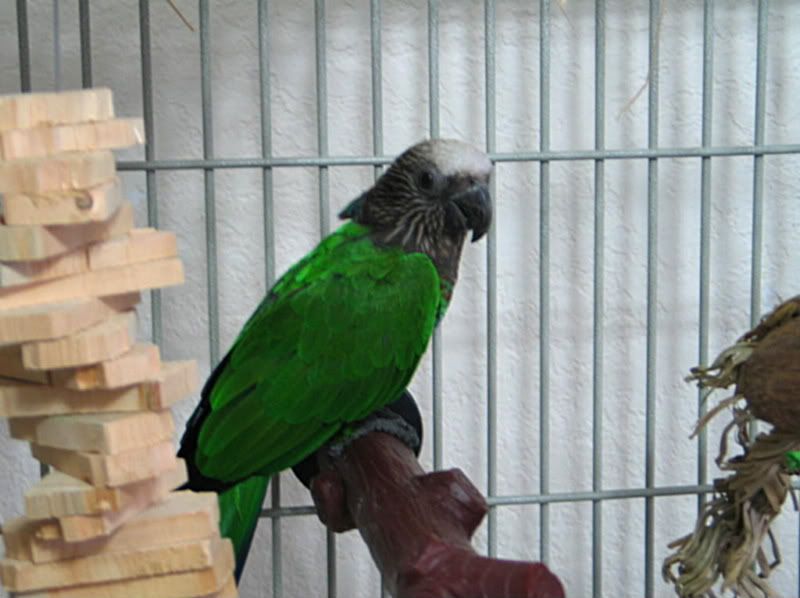 1152011010.jpg