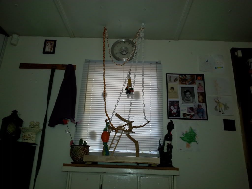 20131109_154009_zps385c5014.jpg