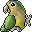 StThomasConure.gif