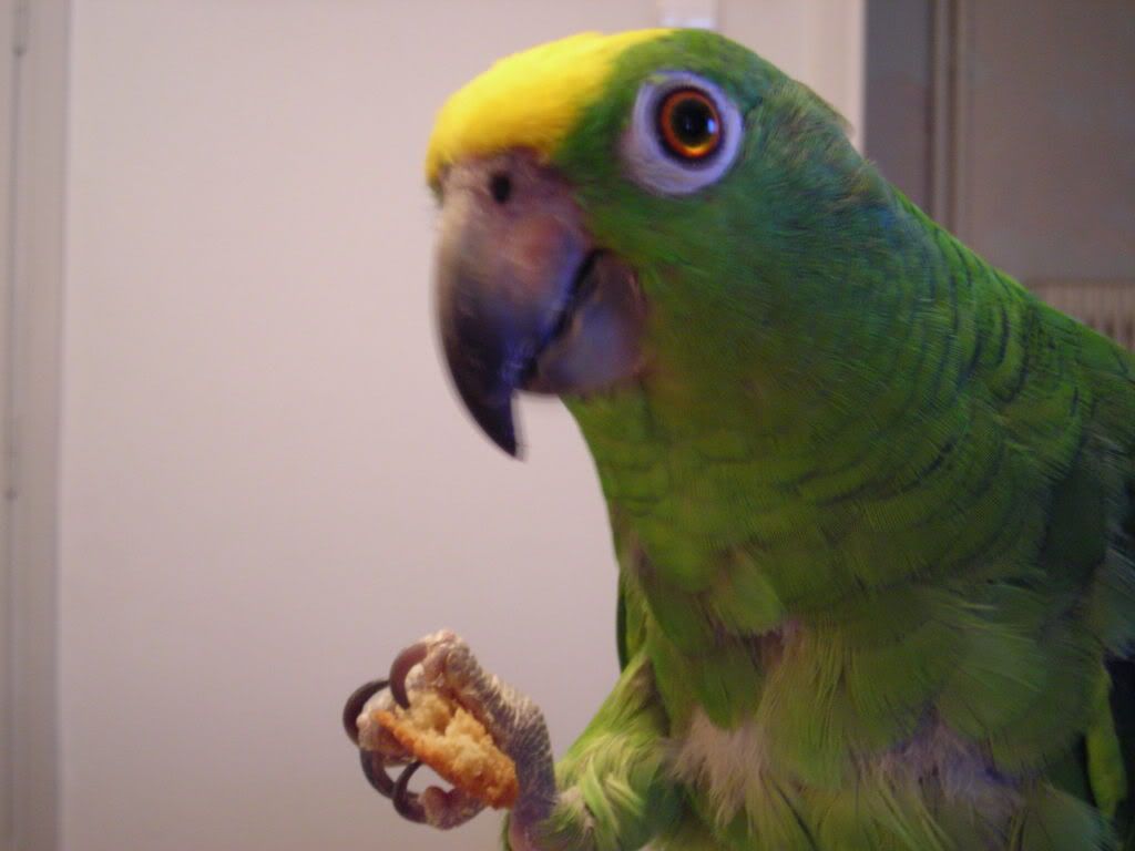 DSCN0447.jpg