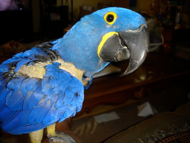 DSC07116.jpg