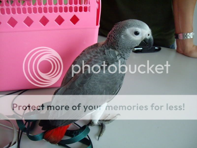 IMG_3598.jpg