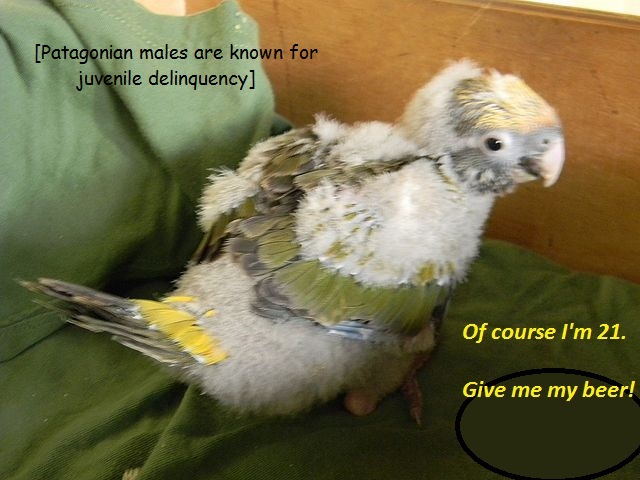 vWAxCQu.jpg