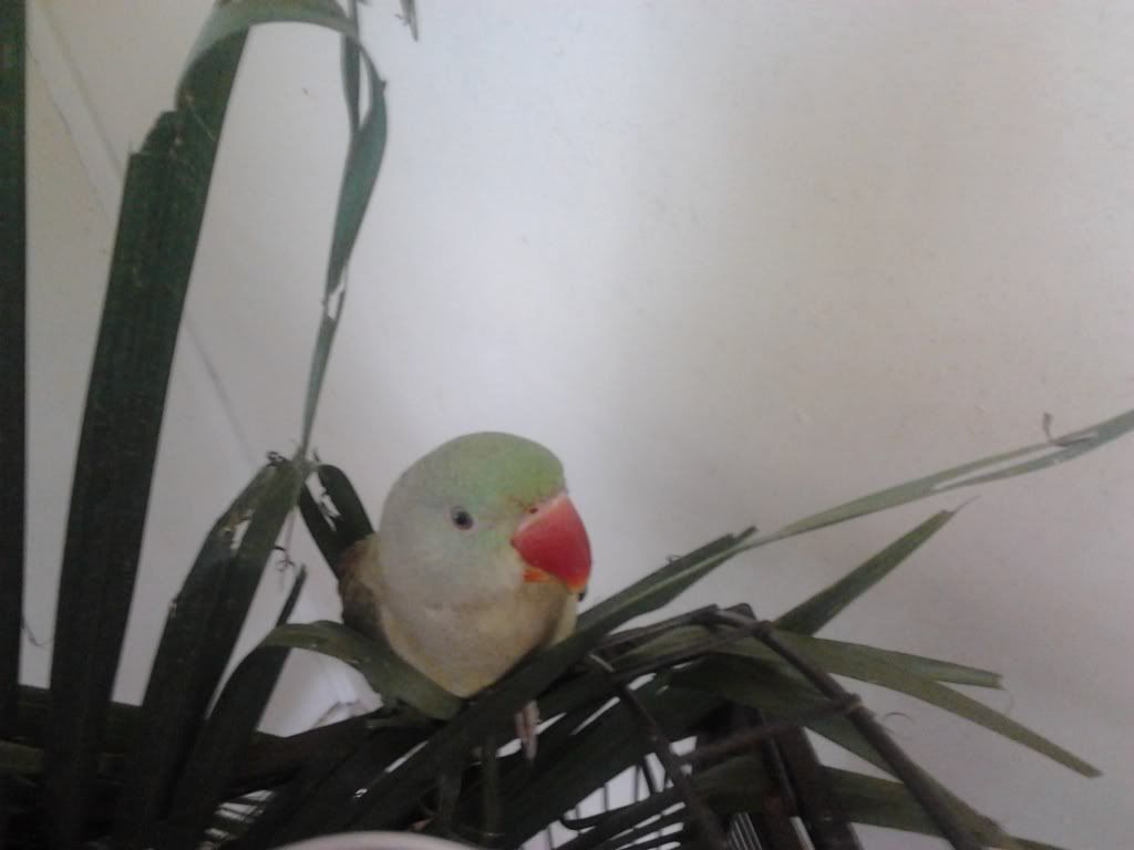 2013-03-22124443_zpse19ca4dd.jpg