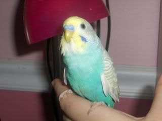 picture3068.jpg