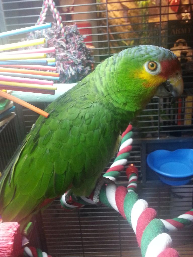 20121216_093536.jpg
