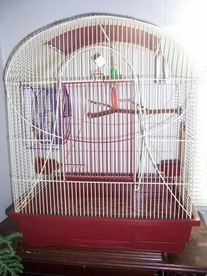 20120502_10.jpg