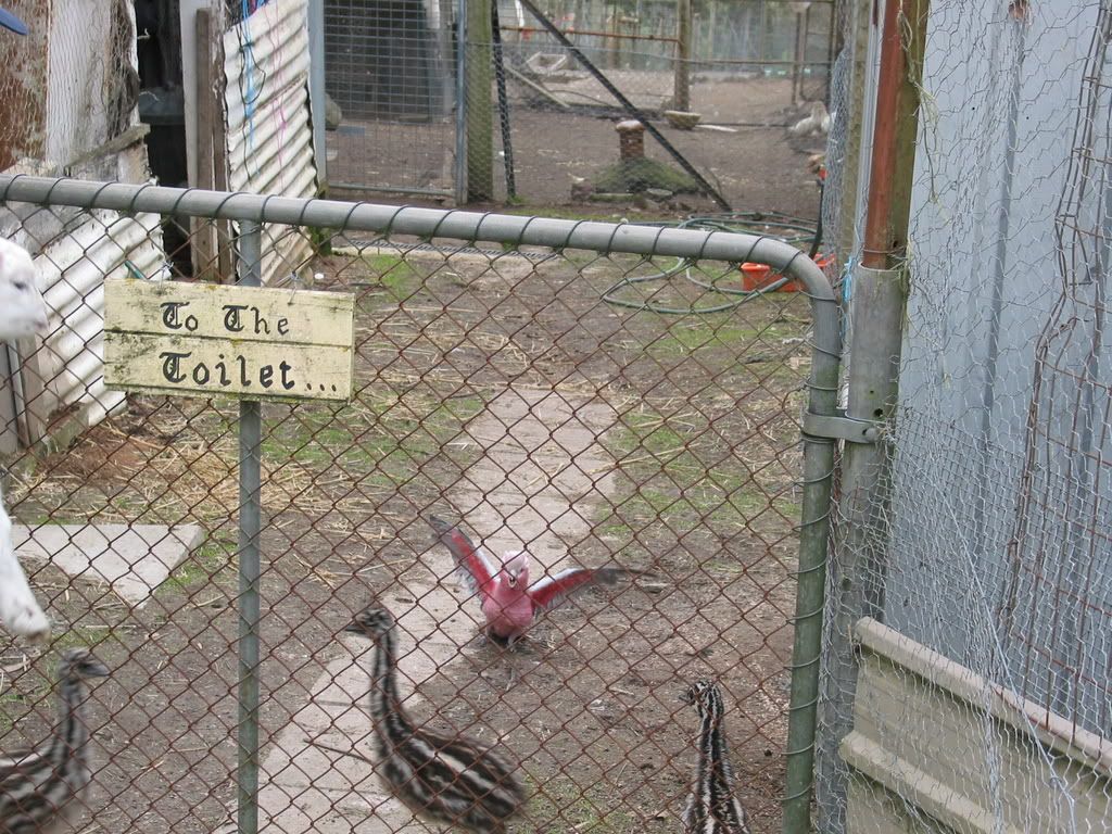 MintonFarm030.jpg