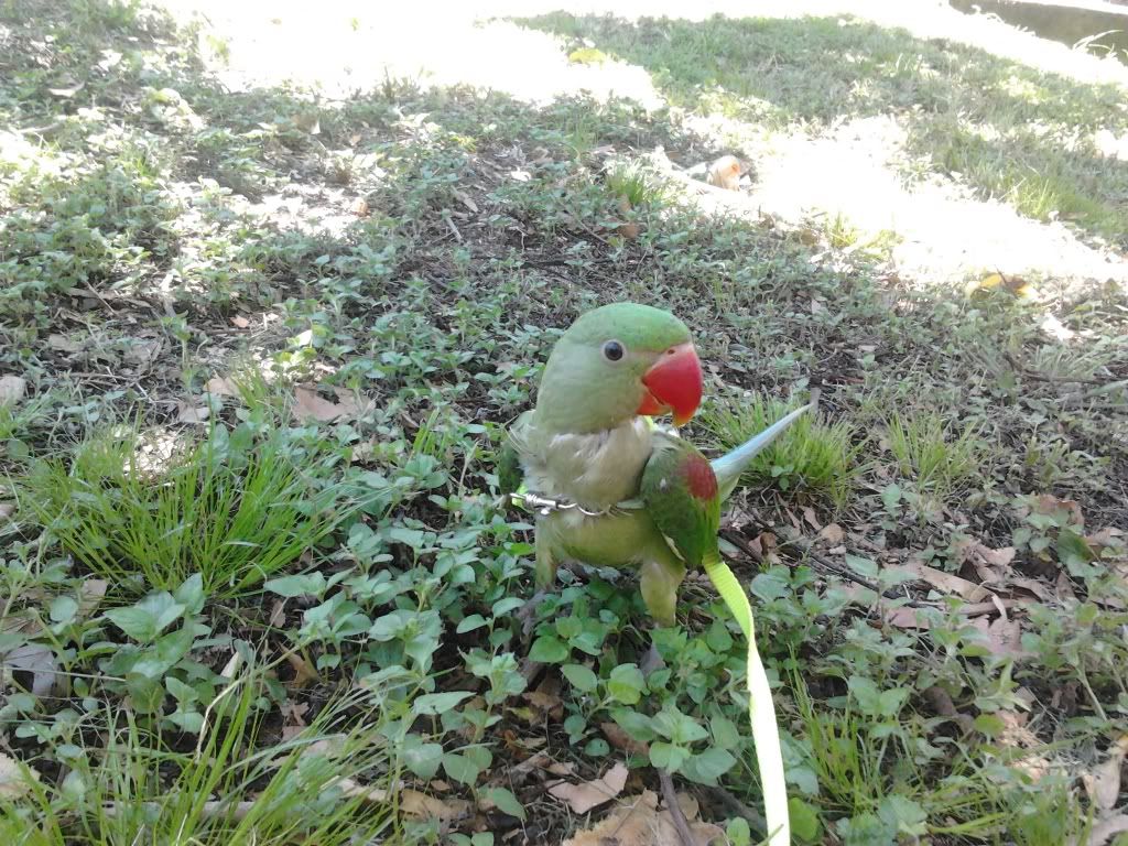 2012-12-28121737_zps230656c2.jpg
