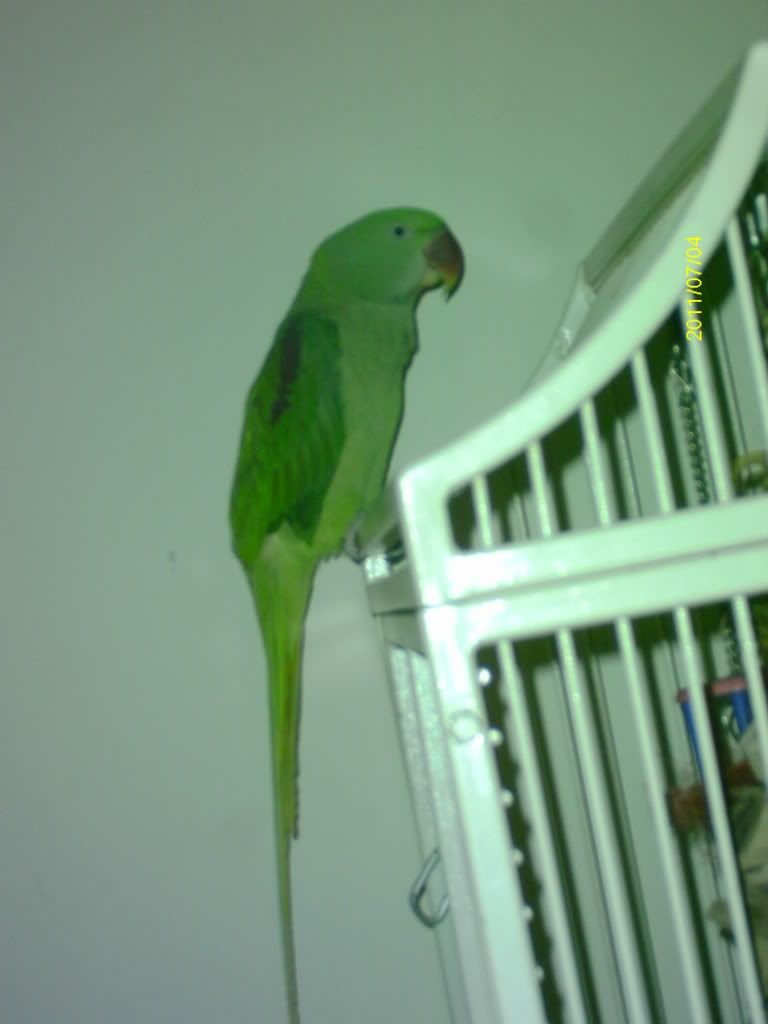 IMAG1384.jpg