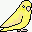YellowParrotlet.gif