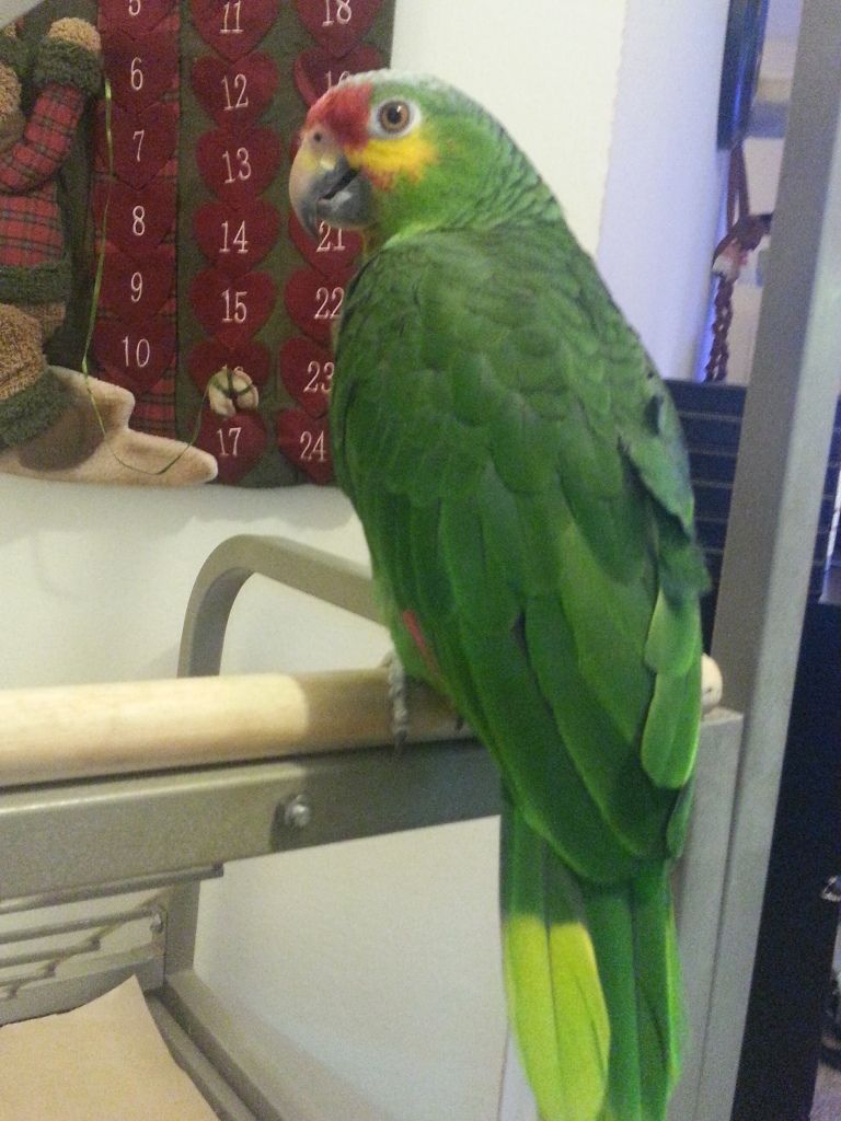20121217_133453.jpg