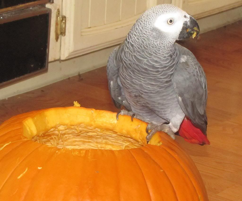 Odinpumpkin.jpg