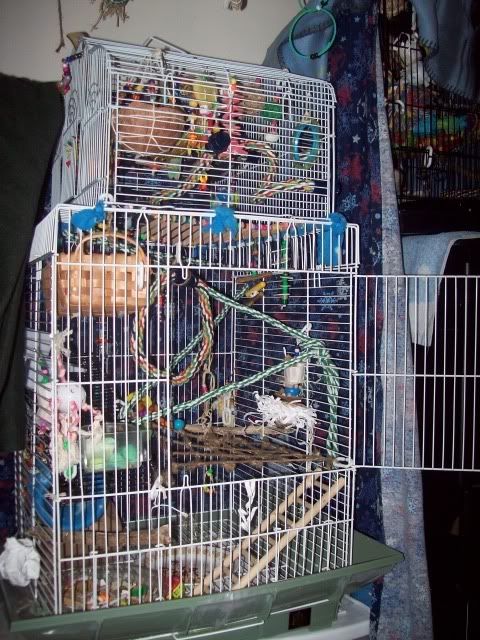 310_8807.jpg