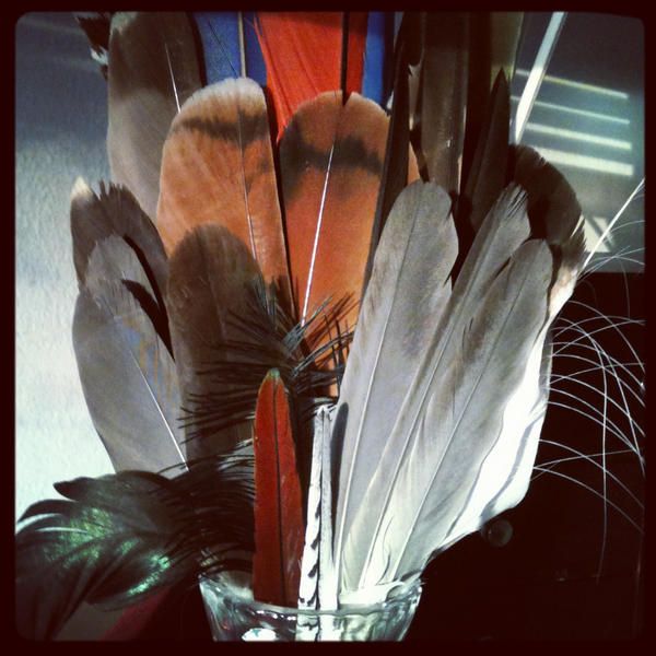 feathers_in_vase_by_copperarabian-d5smw2b.jpg