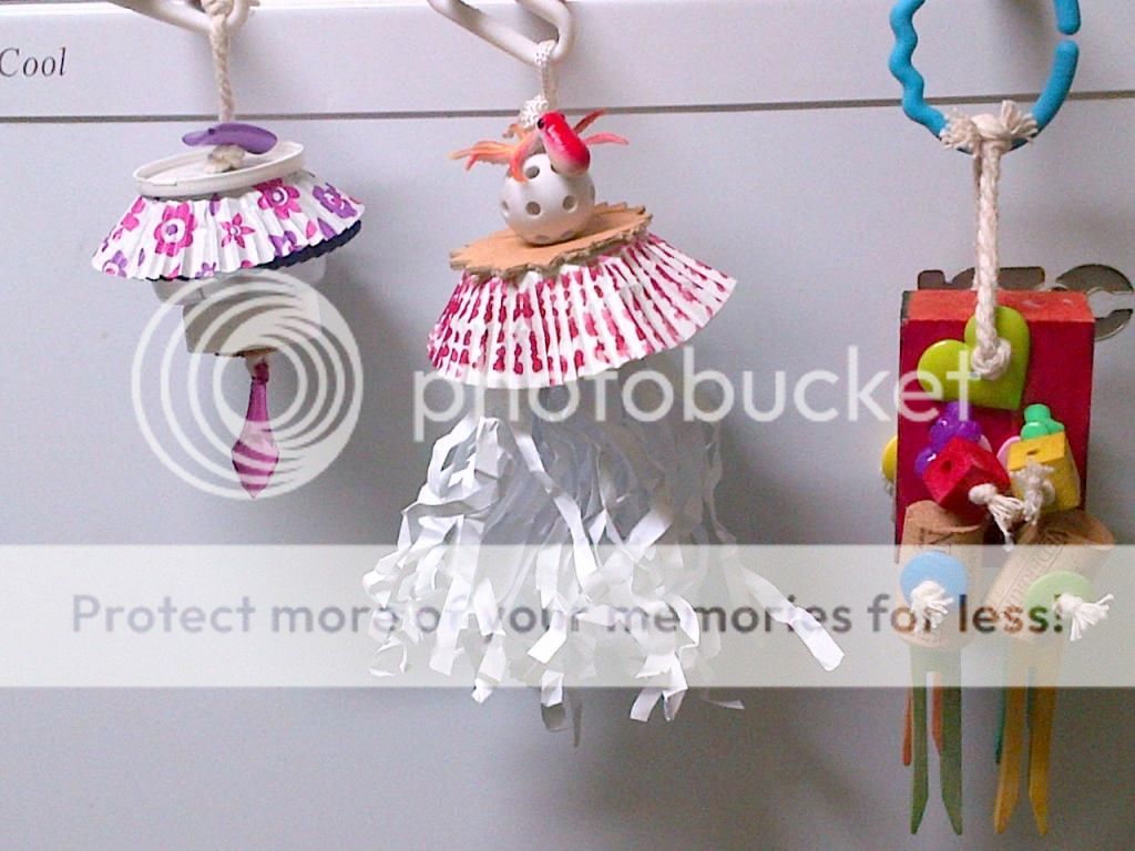 IMG-20140310-01045_zps2a8e3c8b.jpg
