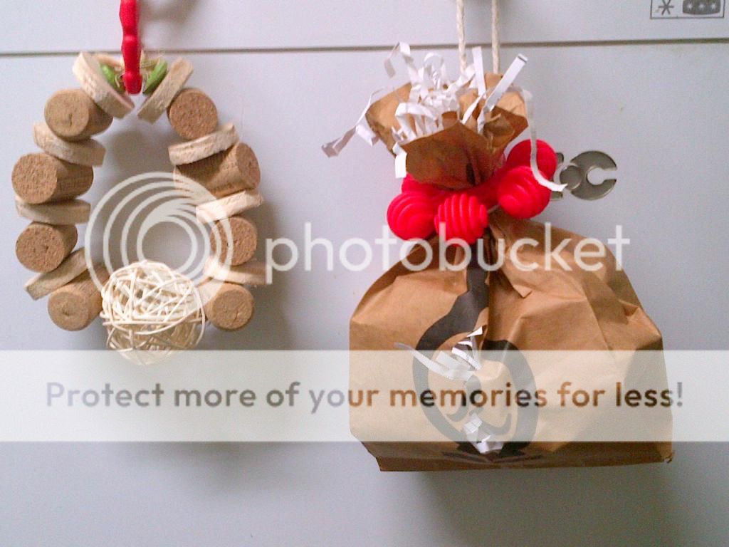 IMG-20140310-01047_zps7c33fec9.jpg