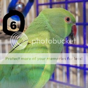 520bba38-c806-4e54-b9fa-168303d61ce0_zps1nwlfuuk.jpg