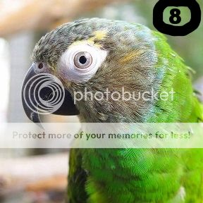 5435f2ee-bc6f-4ccf-a6ba-aa82c36e7fe5_zps1q3uwldy.jpg