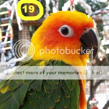 7de6cb35-c6ff-4284-a026-daa44e8f1dcd_zpsfu2zii0m.jpg