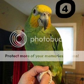 f04317b0-b2e3-4d20-bb86-ff6b55921acd_zpsiajp9ptg.jpg