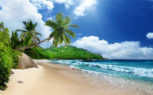 xseychelles_mahe_shutterstock_119447002_500.jpeg.pagespeed.ic.B1VLxaZfdC.jpg