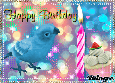 355105-Parrot-Happy-Birthday-Gif.gif