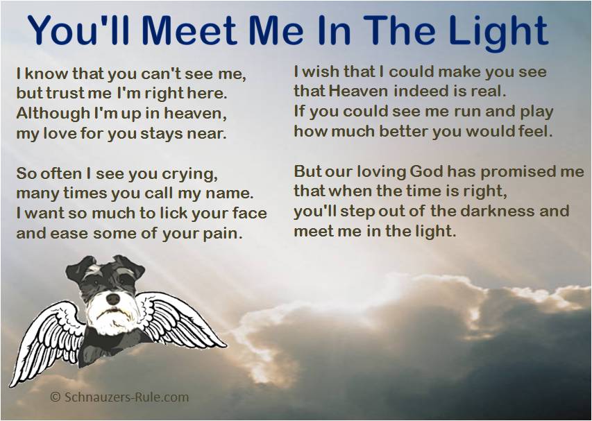pet-loss-poem-meet-me-in-the-light.jpg
