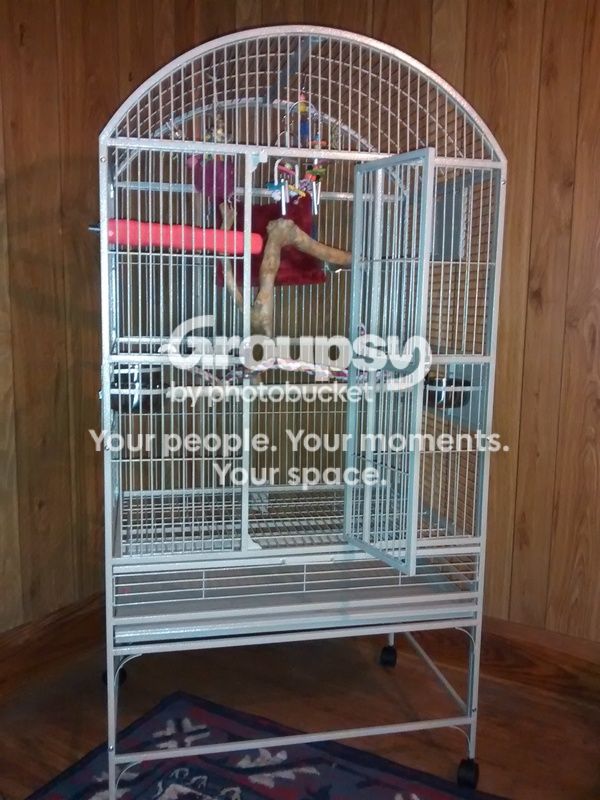 Cage setup for my baby Hahn's macaw | Parrot Forum 🦜 Parrot Owners ...